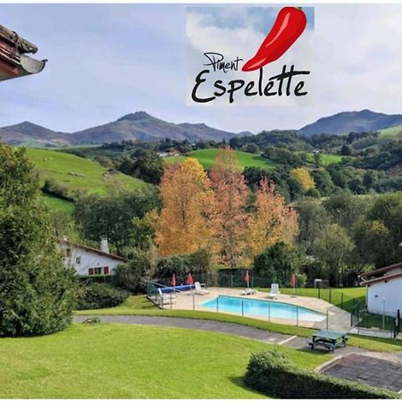 Bol D'Air Pur Au Coeur Du Pays Basque Daire Souraïde Dış mekan fotoğraf